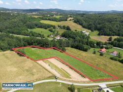 Działka 81 arów Ołpiny - Obrazek 1