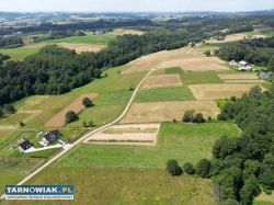 Działka 81 arów Ołpiny - Obrazek 3