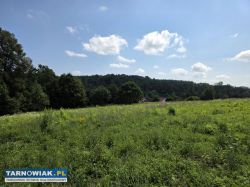 Działka 81 arów Ołpiny - Obrazek 4