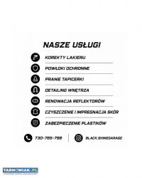 Pranie tapicerki, czyszczenie wnętrz, polerowanie - Obrazek 3