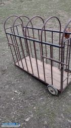 Klatka do transportu zwierząt - Obrazek 1