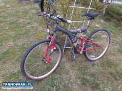 Rower cros - Obrazek 1