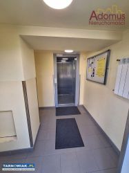 60 m2, 3 pokoje do zamieszkania - Obrazek 2