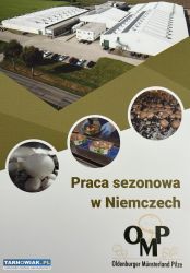 Praca przy produkcji pieczarek - Obrazek 1