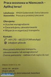 Praca przy produkcji pieczarek - Obrazek 2