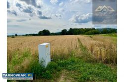 Działka budowlana z widokiem na Zamek w Melsztynie - Obrazek 3
