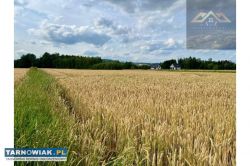 Działka budowlana z widokiem na Zamek w Melsztynie - Obrazek 2