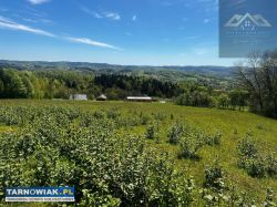 Widokowa działka na Pogórze i Tatry, Siemiechów - Obrazek 3