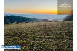 Widokowa działka na Pogórze i Tatry, Siemiechów - Obrazek 2