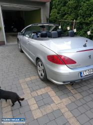 Peugeot 307cc - Obrazek 1