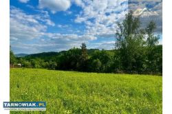 Widokowa działka 24ar, gm. Zakliczyn, Faliszewice - Obrazek 2