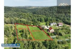 Widokowa działka 28ar Faliszewice, Zakliczyn - Obrazek 2