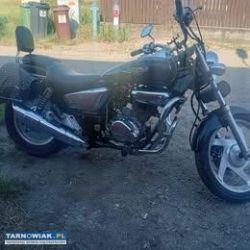 Daelim Vt125 Evolution - Obrazek 2