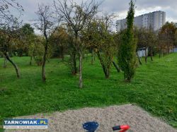 Do sprzedania działka rolna - Obrazek 1