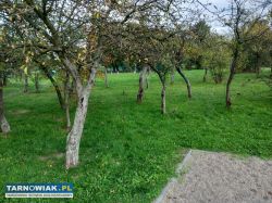 Do sprzedania działka rolna - Obrazek 3