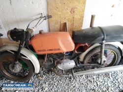 Jawa 50 mustang - Obrazek 1
