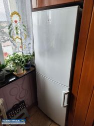 Sprzedam sprawną lodówkę z zamrażalnikiem Amica - Obrazek 1