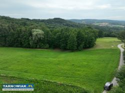 Działka rolna w Łękawicy koło Tarnowa - Obrazek 3