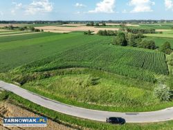 Grunt rolny w Miechowicach - Obrazek 2