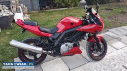 2007 suzuki sv650 - Obrazek 1