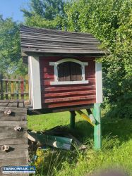 Domek i zjeżdzalnia Oddam za darmo - Obrazek 2