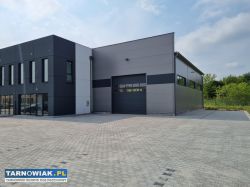 Na wynajem hala magazynowo produkcyjna, biura, - Obrazek 3