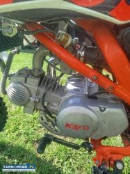 Cross Kayo 140tt - Obrazek 2
