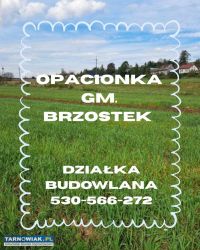 Opacionka działka 13 ar - Obrazek 1