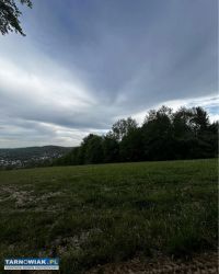 Działka 30ar Pleśna - Obrazek 3