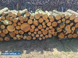 Drewno opałowe - Obrazek 1
