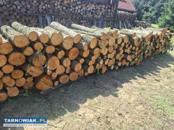 Drewno opałowe - Obrazek 2