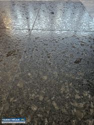 Płytki z kamienia naturalnego - Obrazek 3
