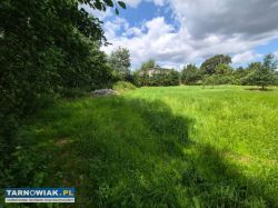 Zaborów - budowlana, 44 ar, tanio - Obrazek 2