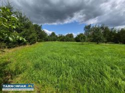 Zaborów - budowlana, 44 ar, tanio - Obrazek 1