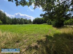 Zaborów - budowlana, 44 ar, tanio - Obrazek 4