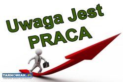 Kierowca Dostawca - Sprzęty RTV i AGD - Obrazek 1