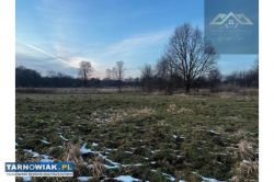Działka rolna pod KRUS pow. brzeski, Dębno - Obrazek 2