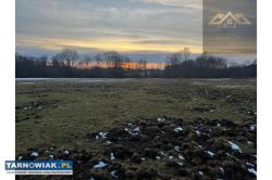 Działka rolna pod KRUS pow. brzeski, Dębno - Obrazek 1