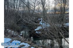 Działka rolna pod KRUS pow. brzeski, Dębno - Obrazek 3