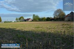 Działka pod usługi lub budowę, brzeski, Szczurowa - Obrazek 2