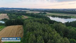 Działka bezpośrednio przy Zalewie Skrzyszowskim - Obrazek 3