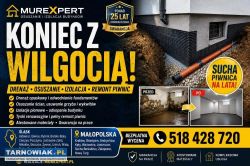 Osuszanie budynków, izolacja fundamentów, iniekcja - Obrazek 4