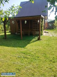 Działka rekreacyjna ROD Semafor Tarnów - Obrazek 2