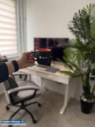 Płatny Staż w Agencji Marketingowej - Obrazek 2