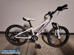 Rower meriva - Obrazek 1