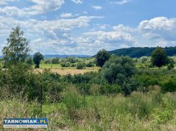 Janowice, na sprzedaż działka z lasem - Obrazek 1