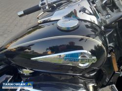 Suzuki Volusia 2003 / 800cm- chromy,torby - Obrazek 4
