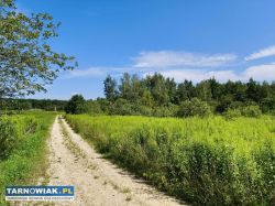 Działka budowlana w Skrzynce, gmina Szczucin - Obrazek 4