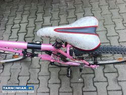 Rower Pells - Obrazek 2