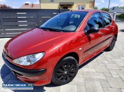 Peugeot 206 lift 1.1 2004r - Obrazek 1